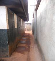Education