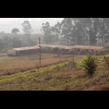IMG 7235