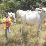 K Bamenda Trek 2011 102